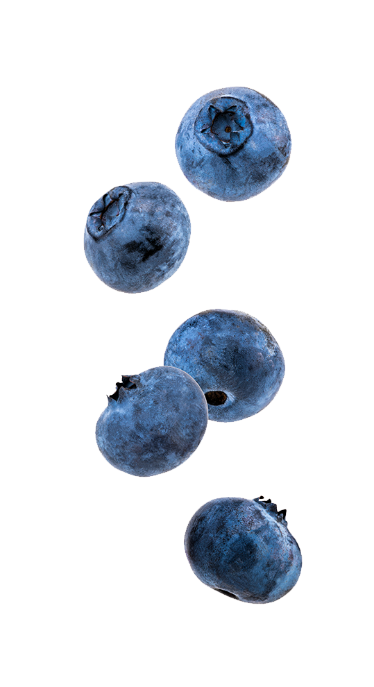 Decorative image