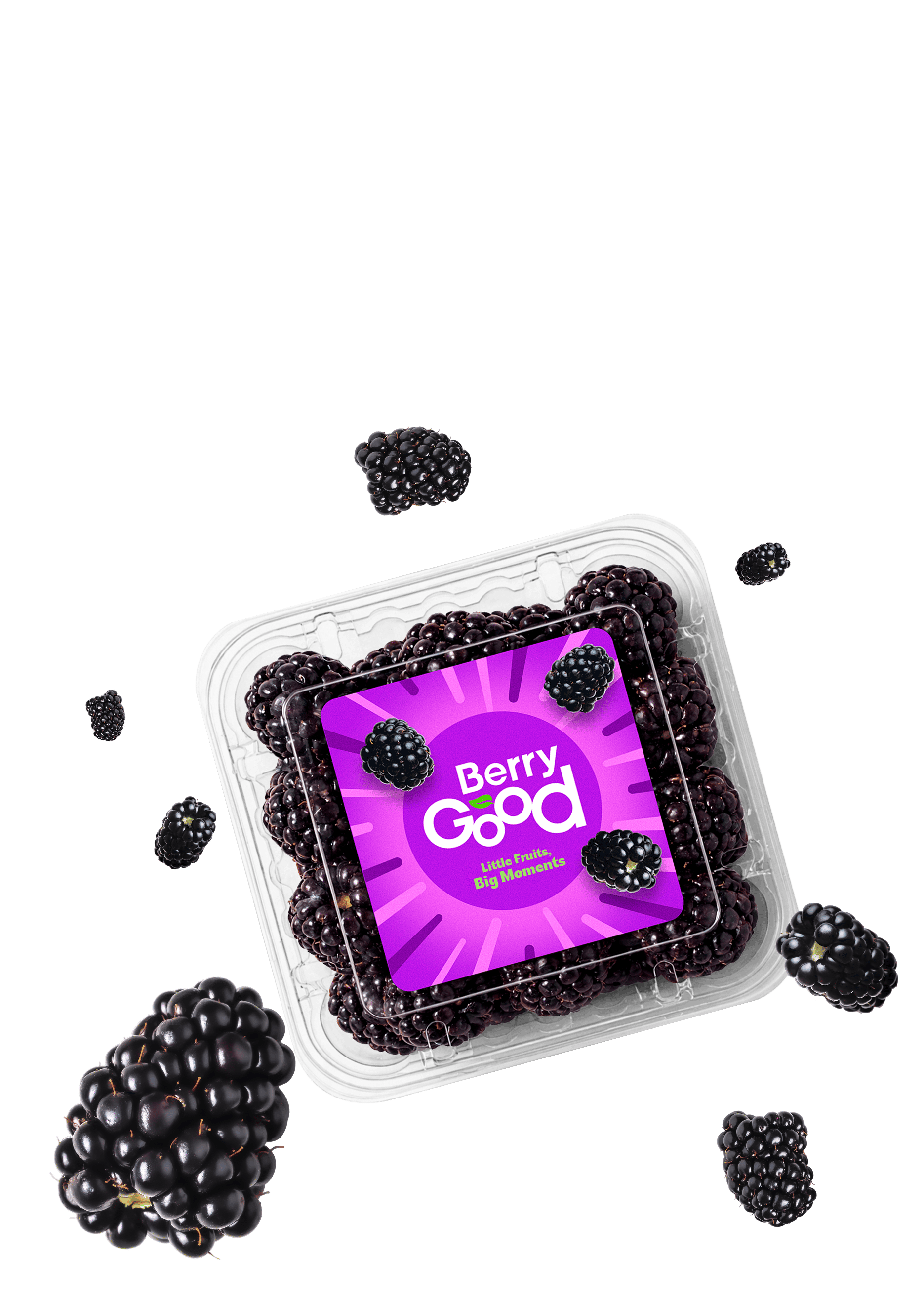 Berry blackberry