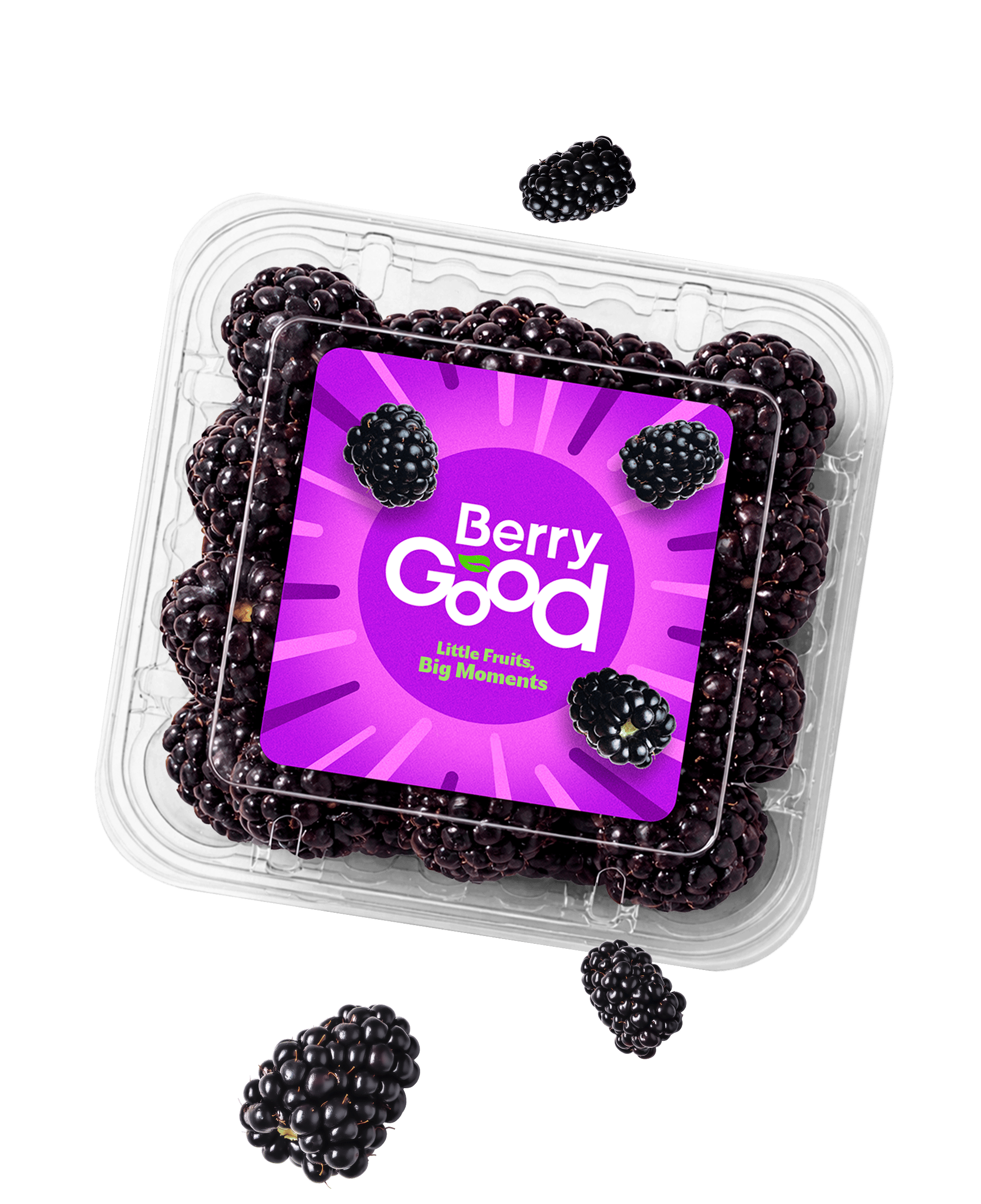 Berry blackberry