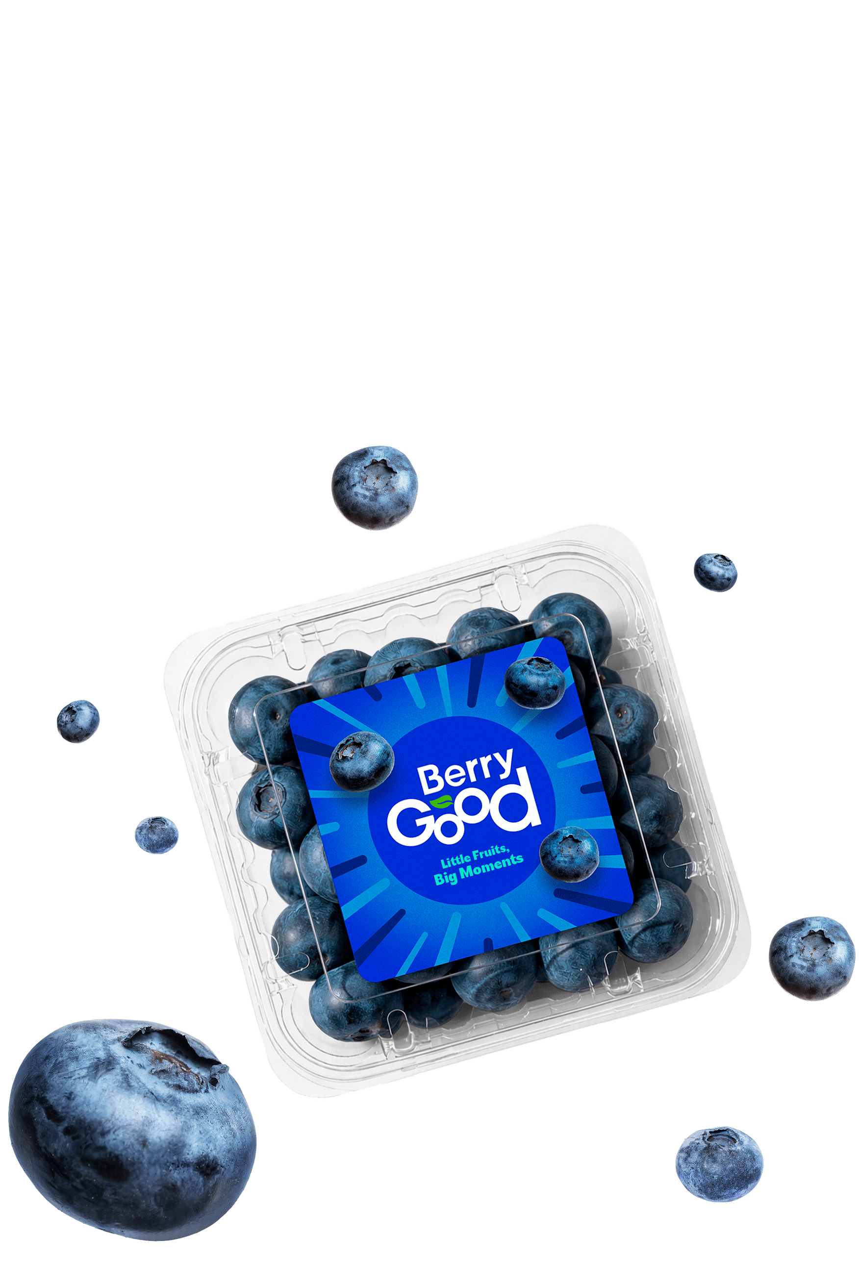 Berry blueberry
