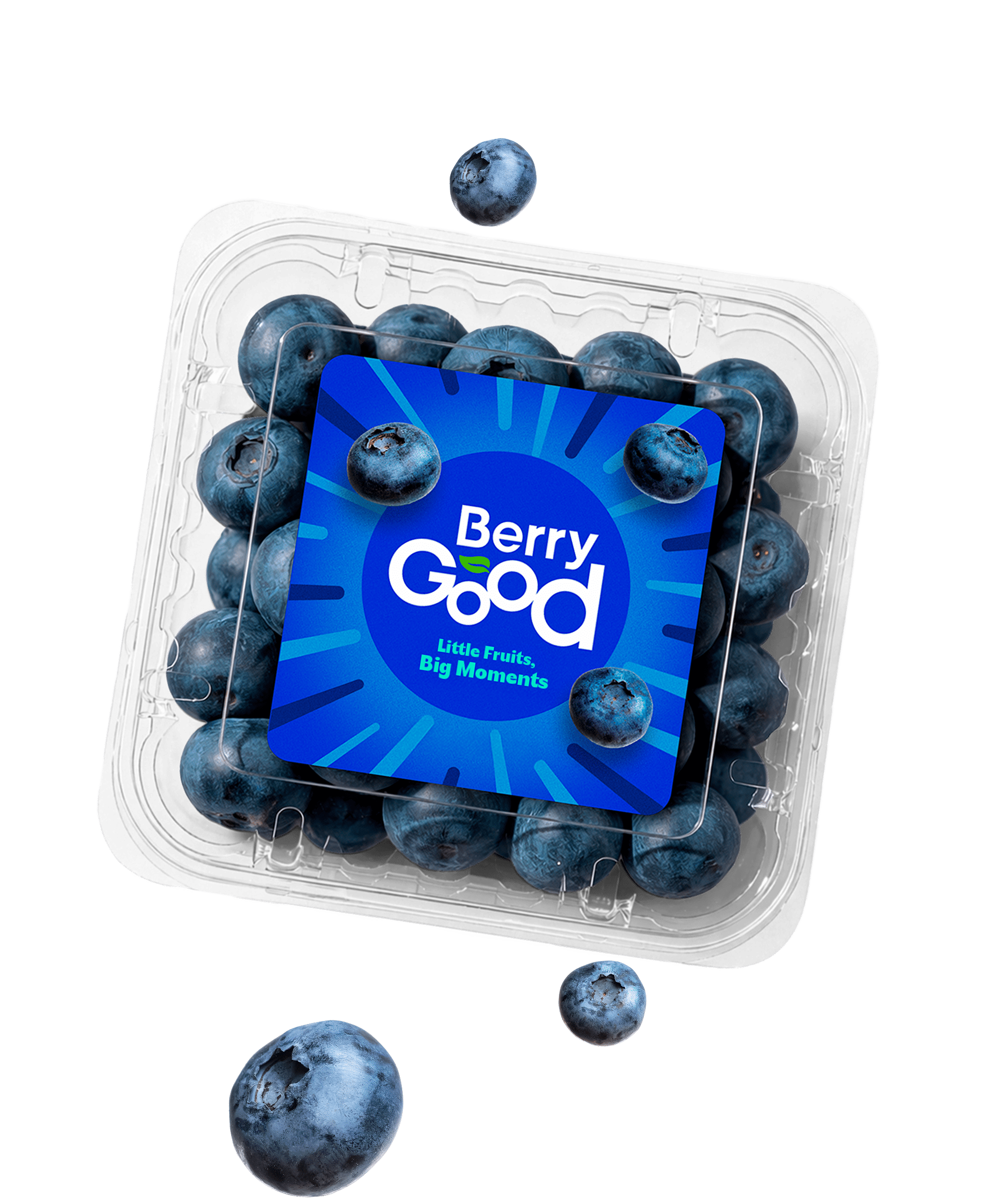 Berry blueberry