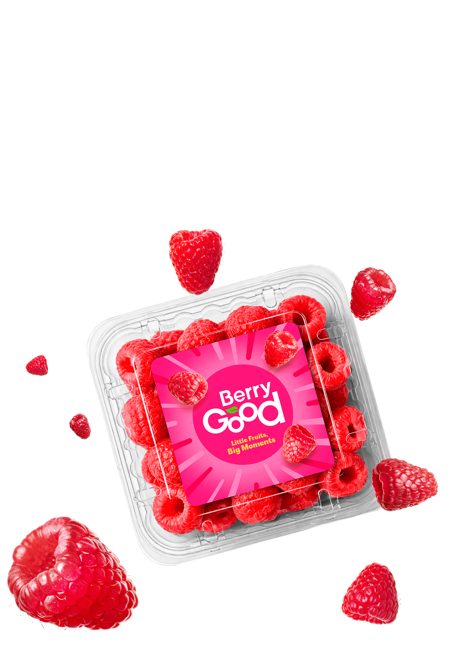 Berry raspberry