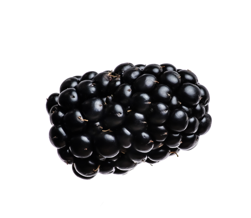 Berry blackberry
