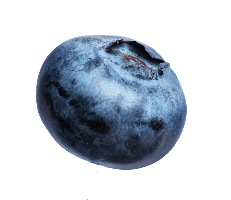 Berry blueberry