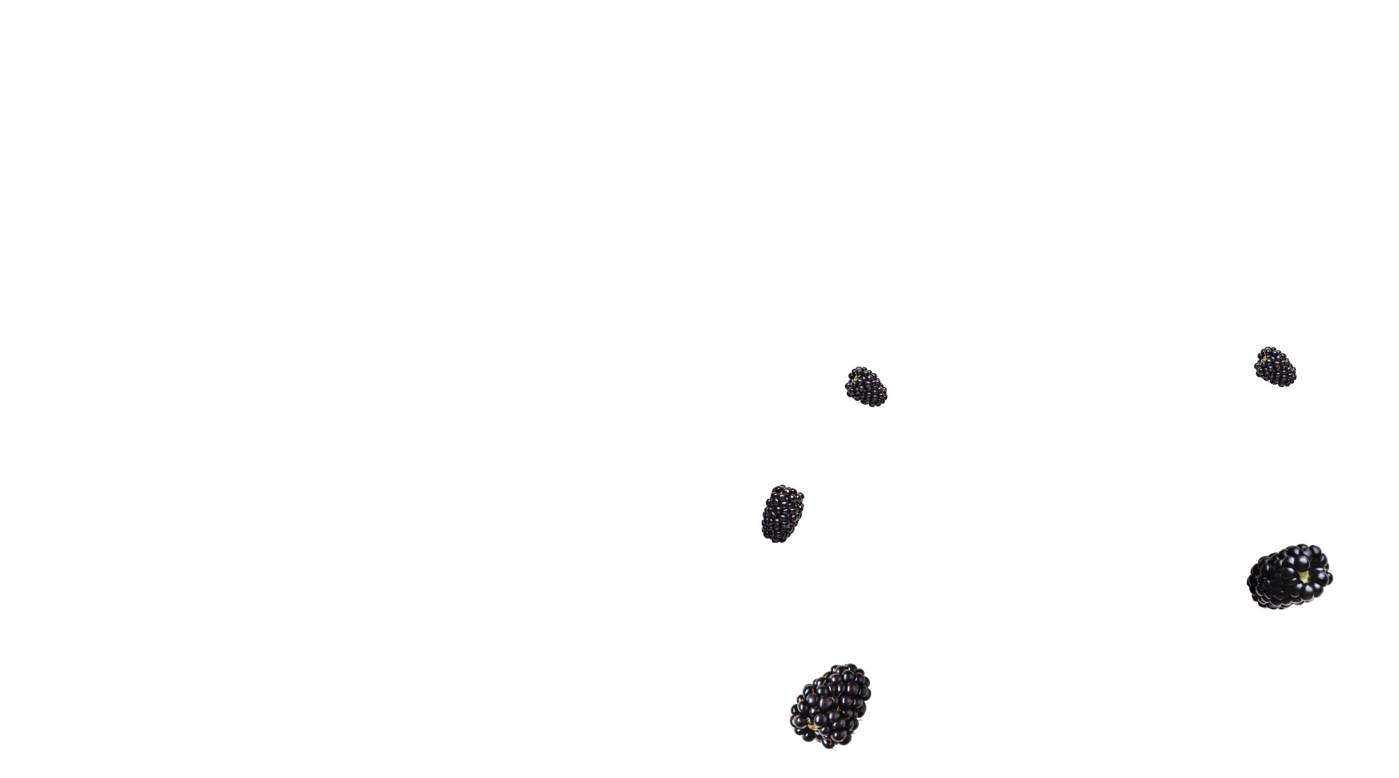 Decorative image