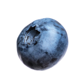 Berry blueberry
