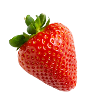 Berry strawberry