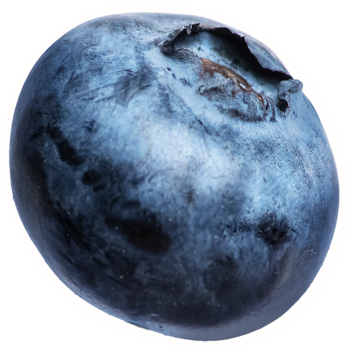 blueberry