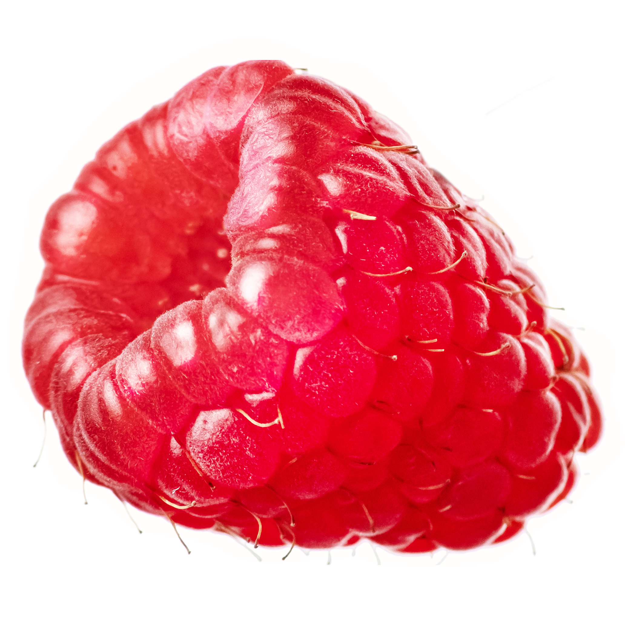 raspberry