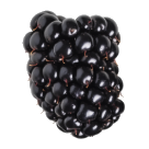 Berry blackberry-04