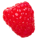 Berry raspberry-02