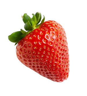 Berry strawberry-02