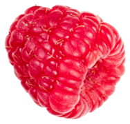 Decorative image