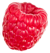 Decorative image