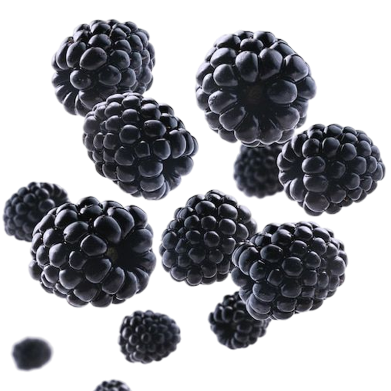 blackberries-8