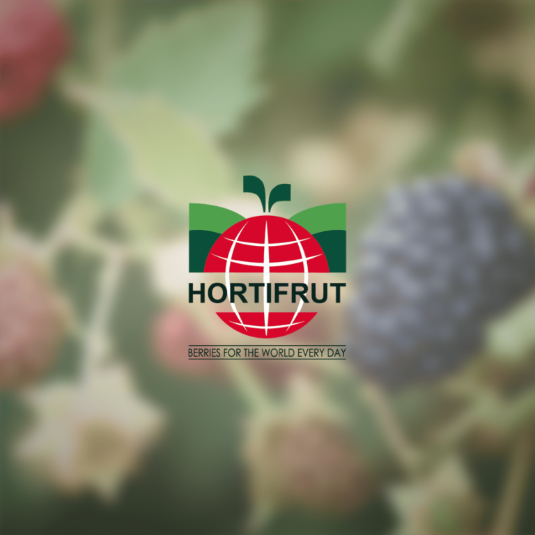 logo_8 (1)
