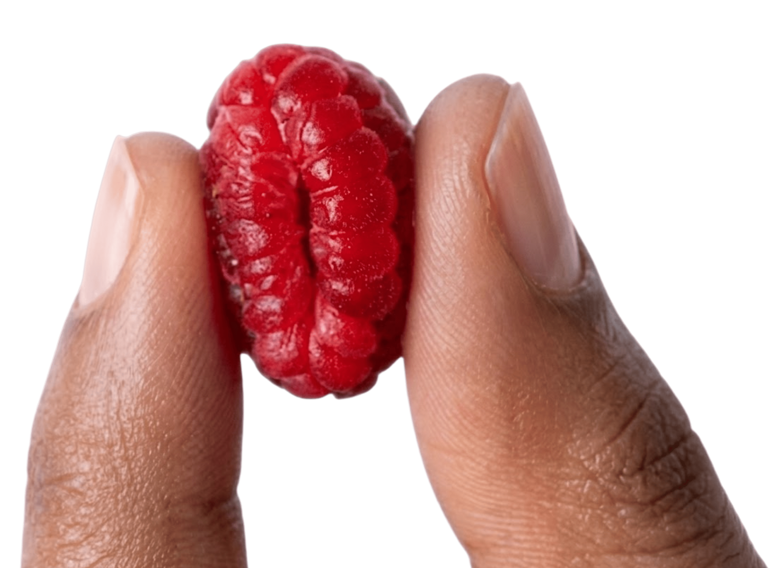 raspsberries hands (1)