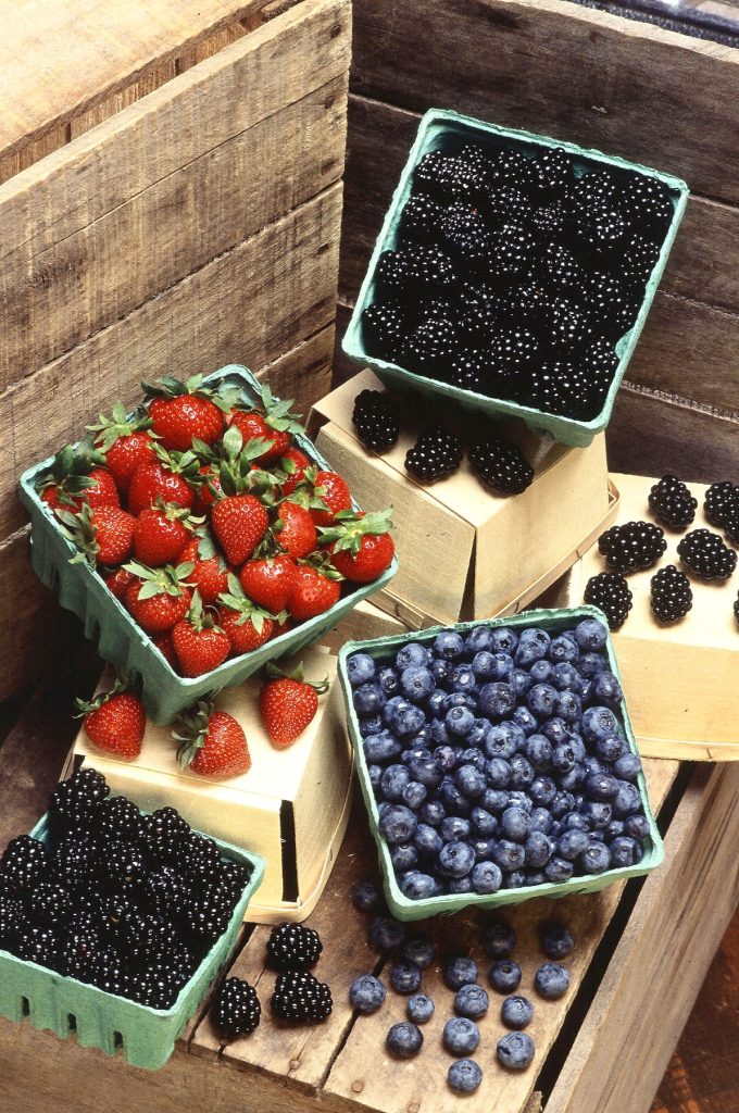 i04_blind_berry_game