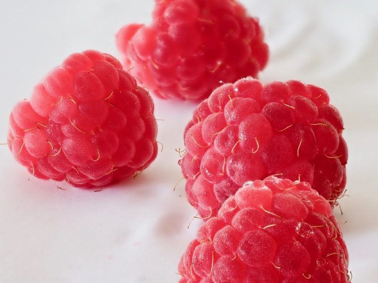 i07_raspberry_peekaboo